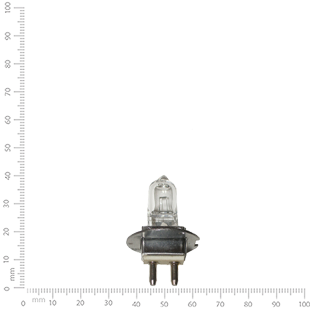 Bulb - ID: 30-13-87