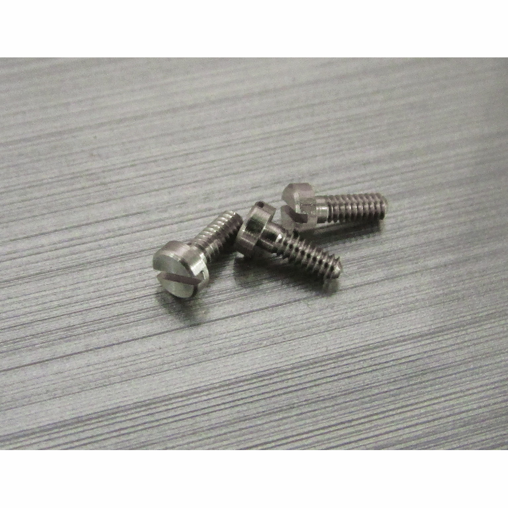 Eyewire Screw SW-0205