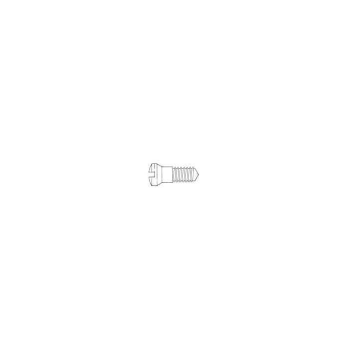 Eyewire Screw SW-0103-G