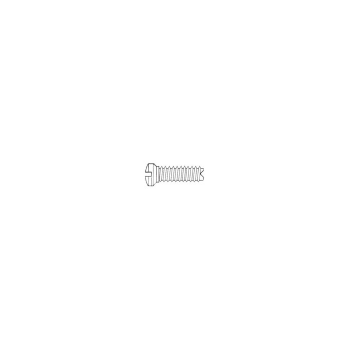 Eyewire Screw SW-0104-SS