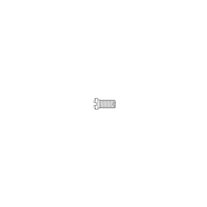 Nose Pad Screw SW-0702