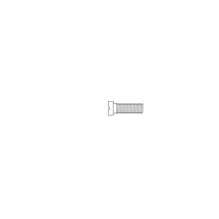 Hinge and Eyewire Screw SW-0130 (Flat Head)