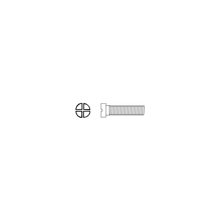 Hinge and Eyewire Screw SW-0131 (Phillips Head)