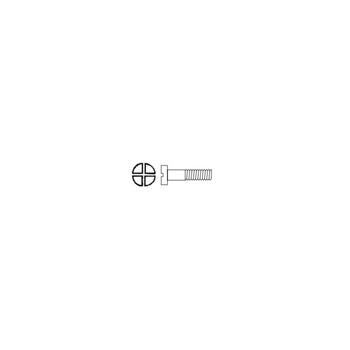 Nose Pad Screw SW-0730 (Phillips Head)