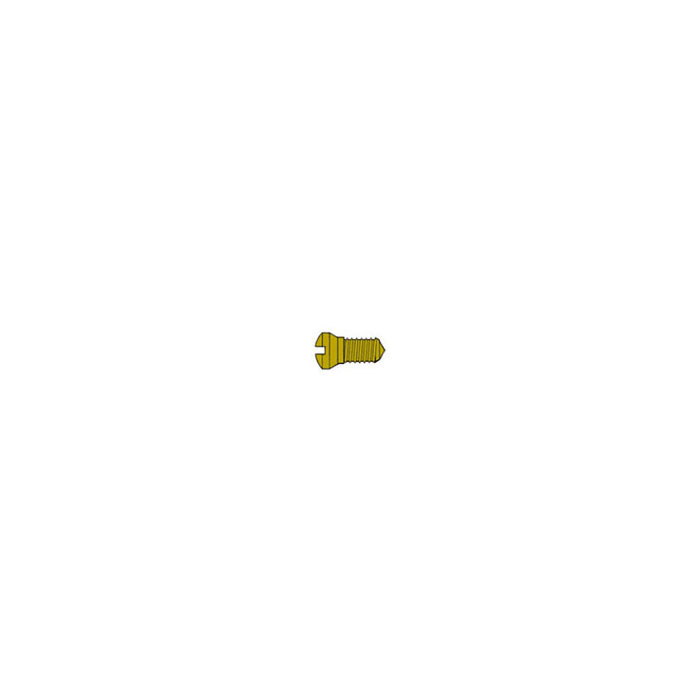 Eyewire Screw SW-0102-GY
