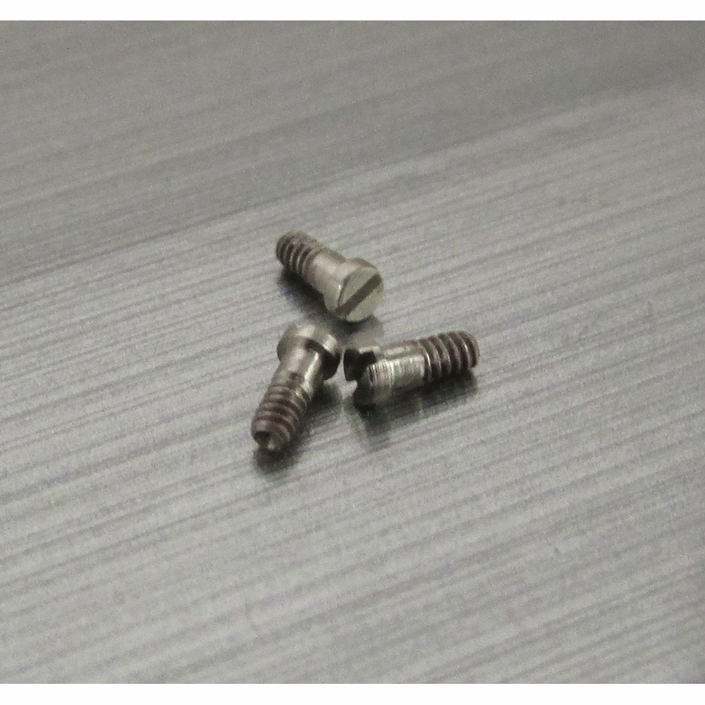 Ray Ban / B & L Screw SW-0204