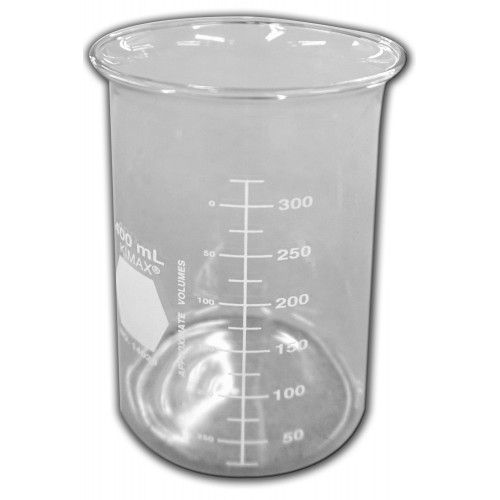 600 ml beaker