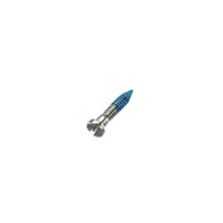 Silver Pointed Hinge Screw