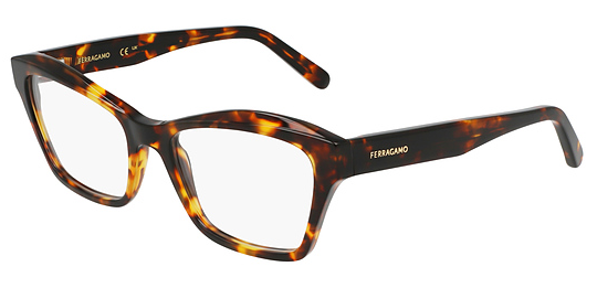 Salvatore Ferragamo SF 2951N 219 (53)