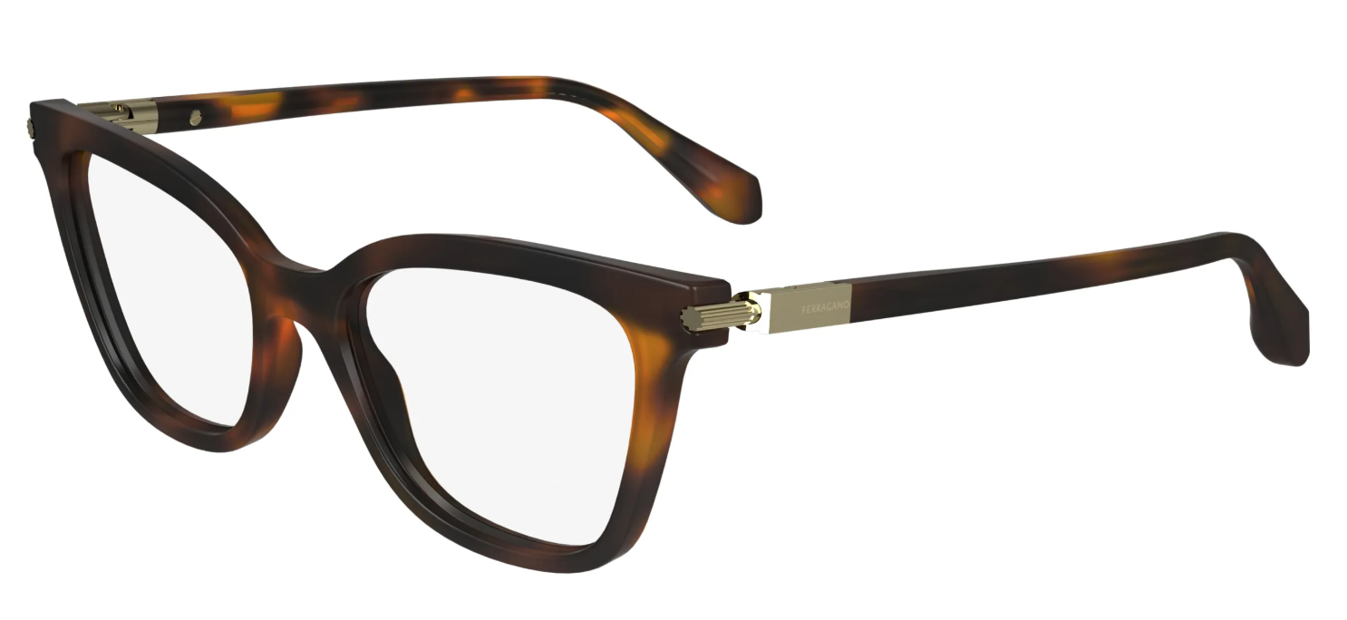 Salvatore Ferragamo SF 2991 240 (51)