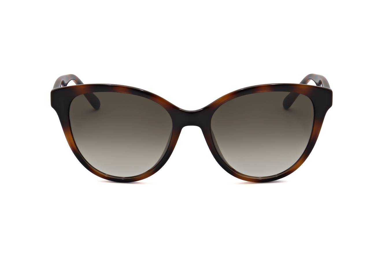 Ferragamo - FRG SUN SF1073S 240 54 17 140