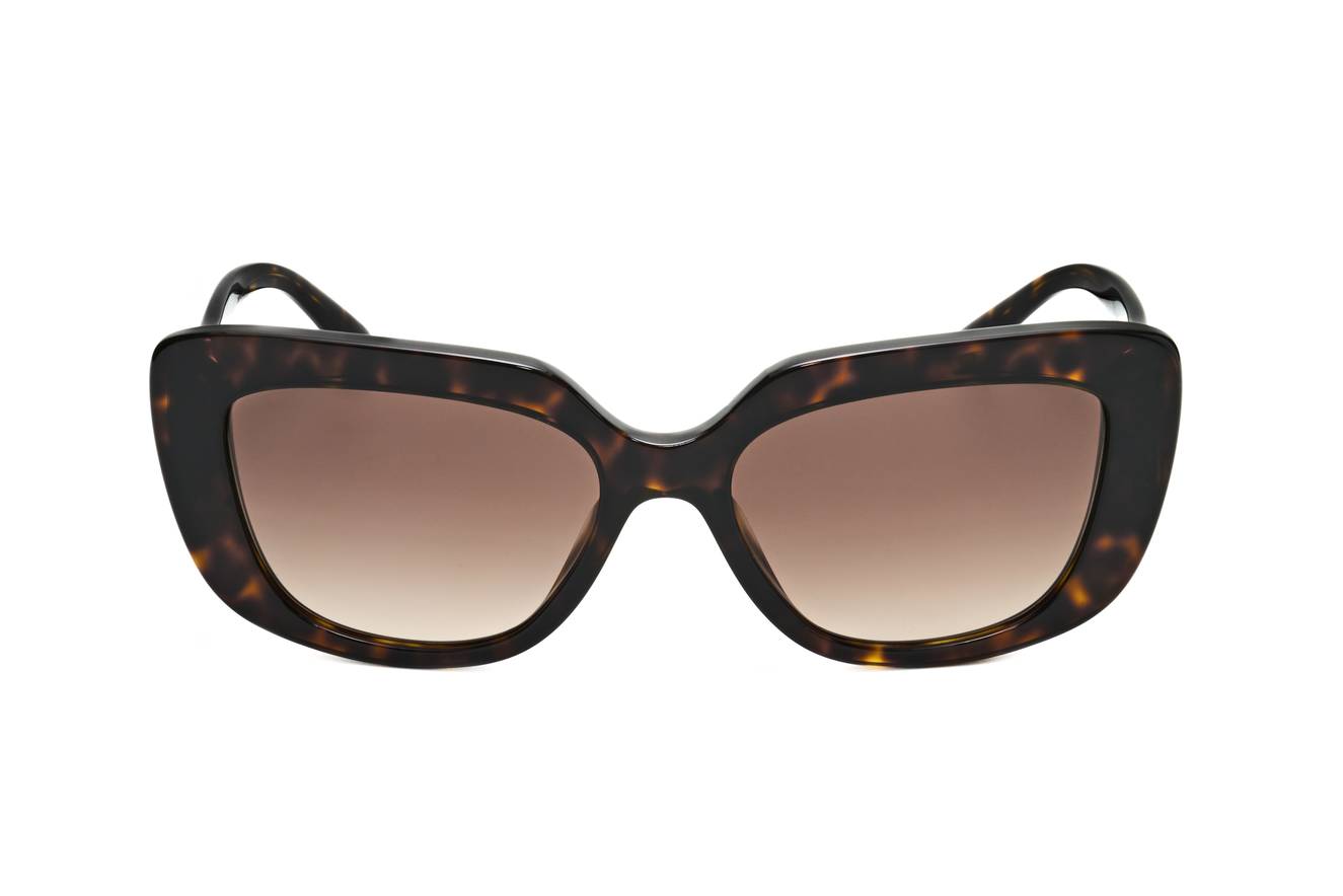 Bulgari - BV SUN 0BV8261 504/13 55 17 140