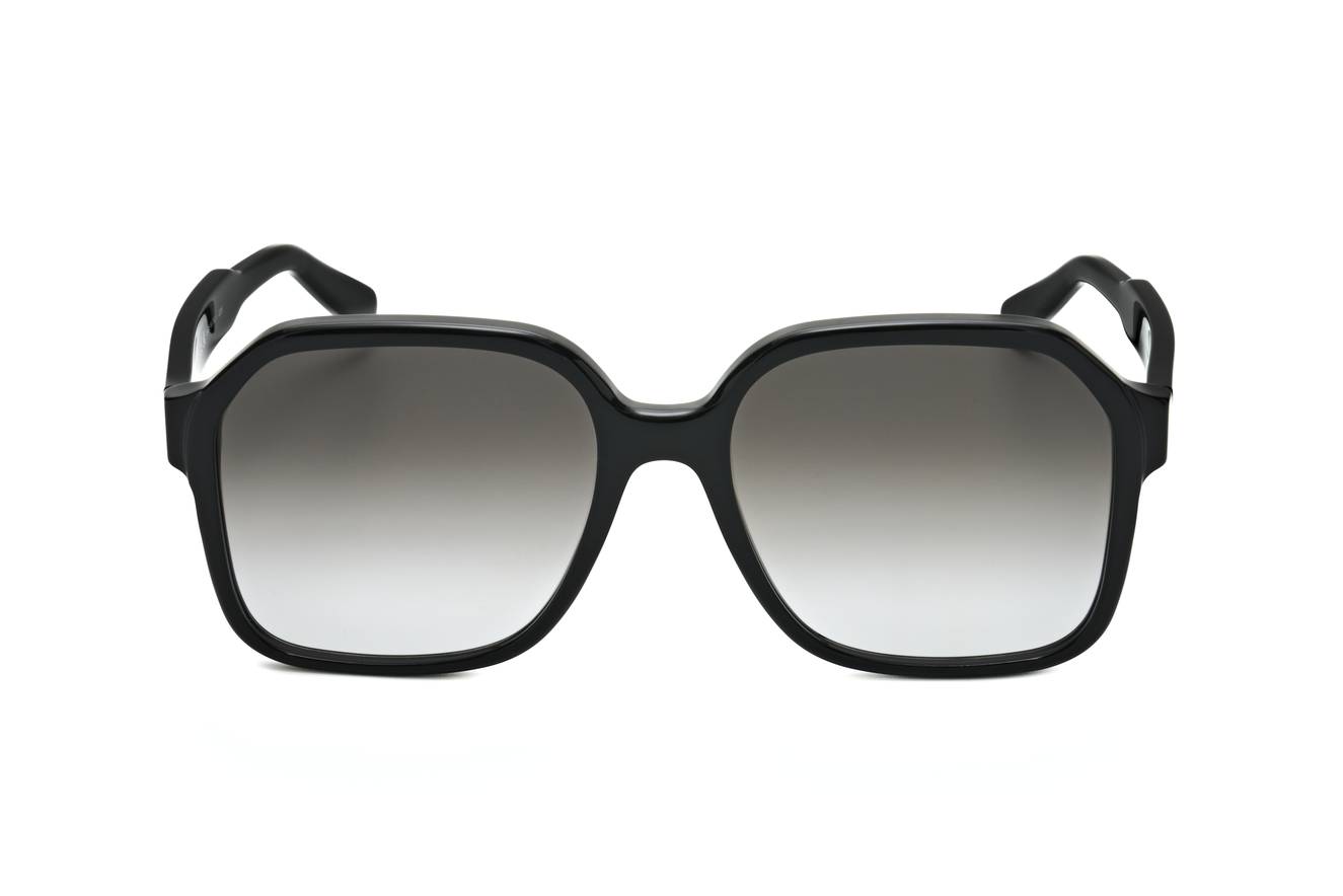 Ferragamo - FRG SUN SF1069S 001 56 17 140