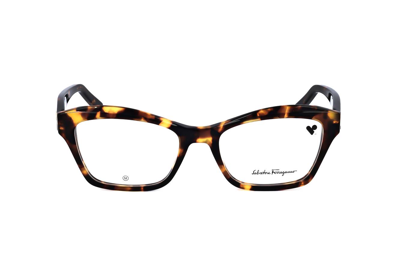 Ferragamo - FRG FRAME SF2951 219 53 18 140