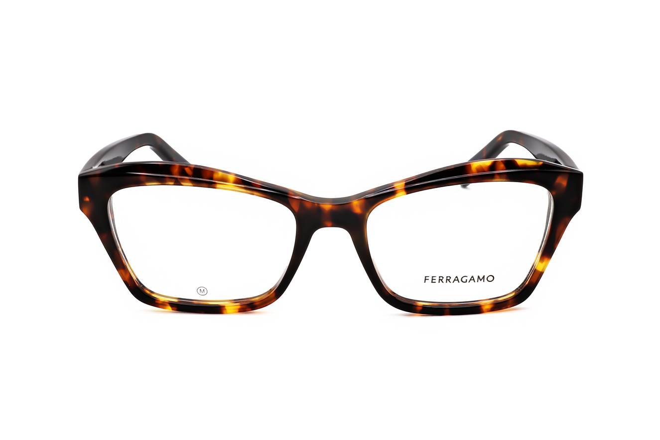 Ferragamo - FRG FRAME SF2951N 219 53 18 140