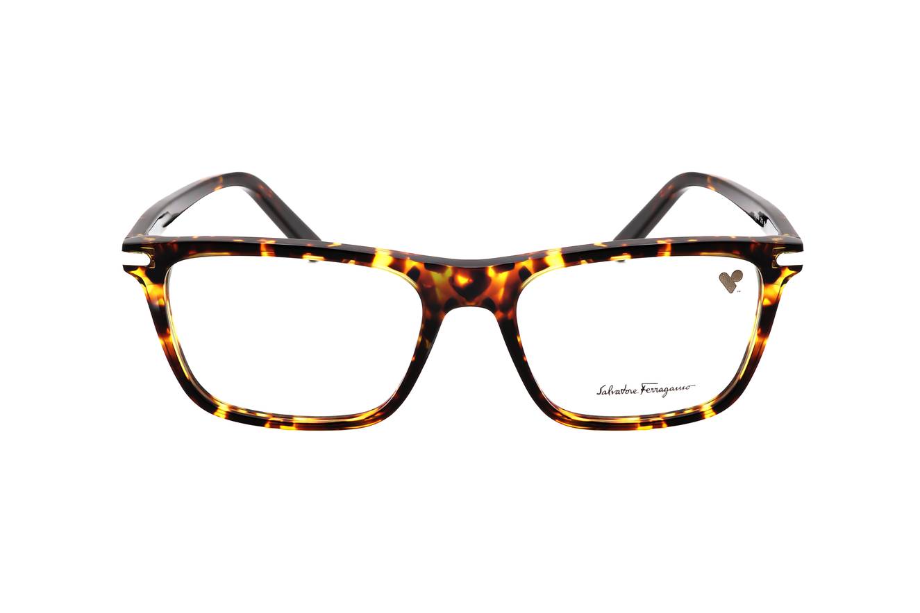 Ferragamo - FRG FRAME SF2959 219 55 18 145