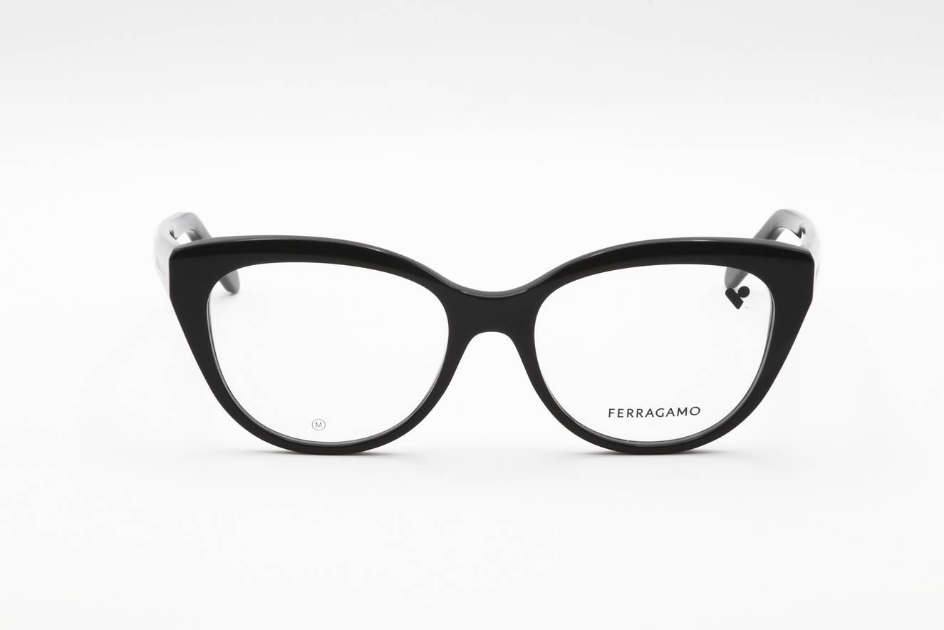 Ferragamo - FRG FRAME SF2970 001 53 17 140