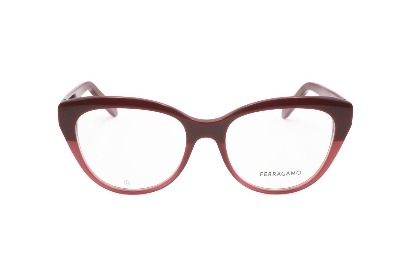 Ferragamo - FRG FRAME SF2970 601 53 17 140