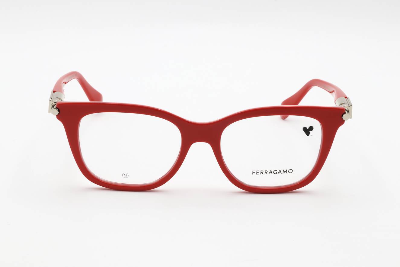 Ferragamo - FRG FRAME SF2973 600 50 17 140