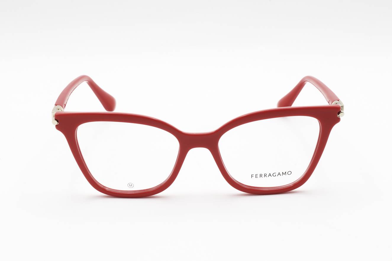Ferragamo - FRG FRAME SF2991 600 51 17 140