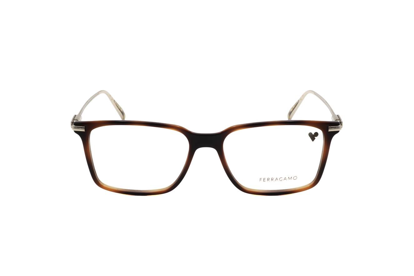 Ferragamo - FRG FRAME SF2977 240 53 16 145