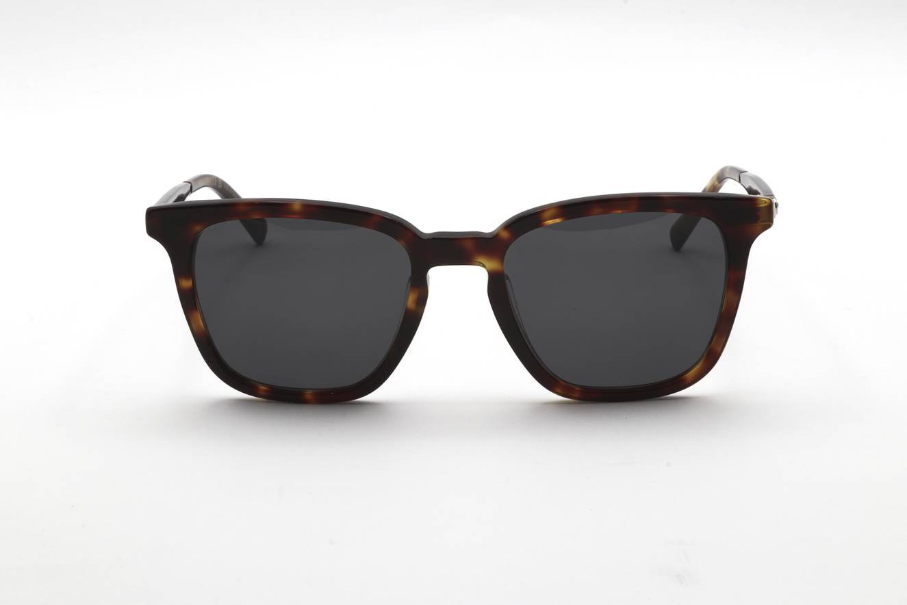 Ferragamo - FRG SUN SF1100S 242 52 19 145