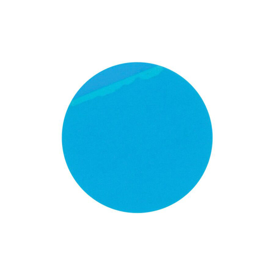 Blue Chip Lens Protector