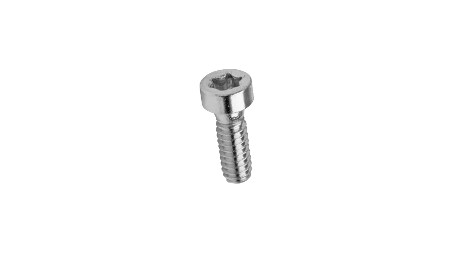 Torx Screws