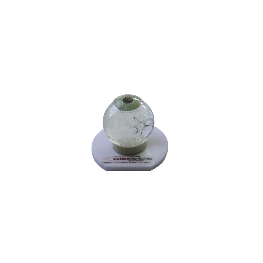 Floater Eye Model