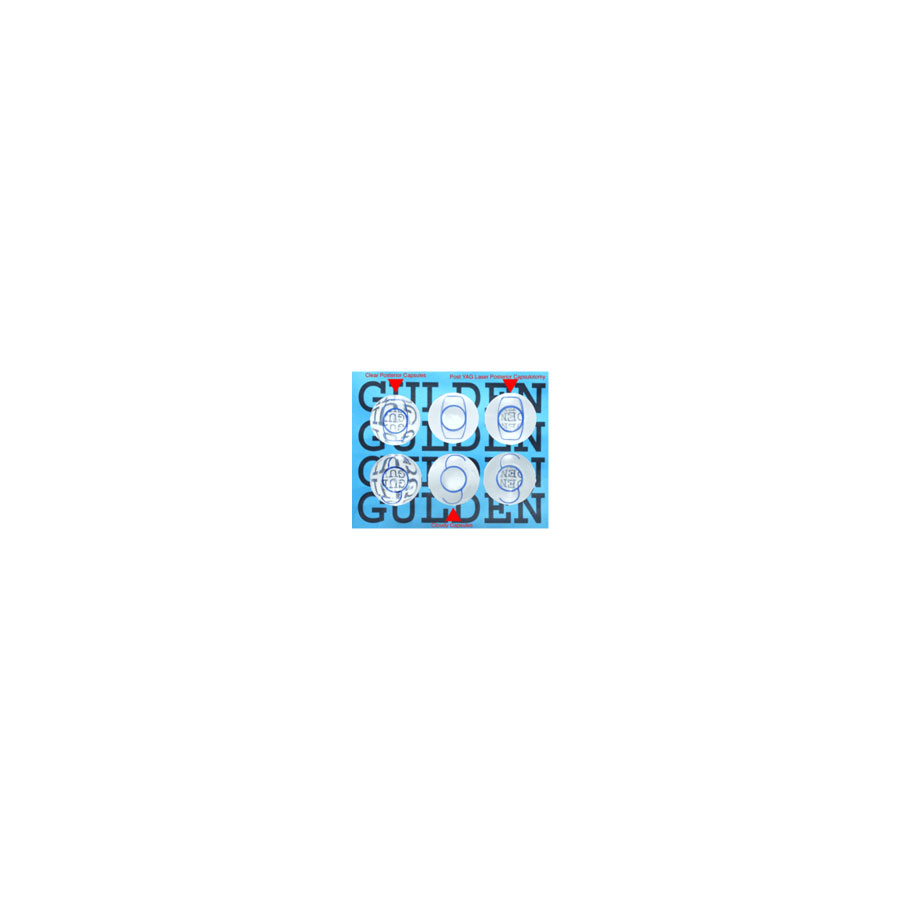 Intra Ocular Lens Eye Model