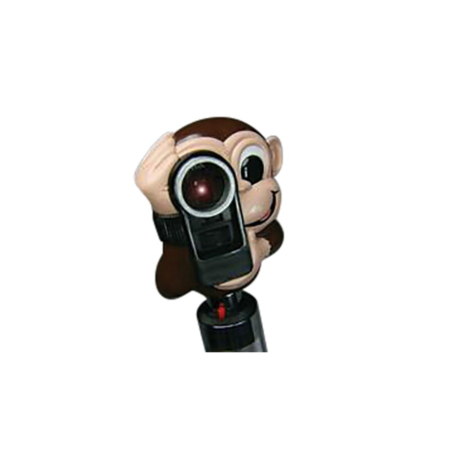 Monte the Monkey