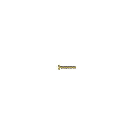 1.4 x 10.5 x 2.5 Gold Rimless Trim Screw (pack of 50)