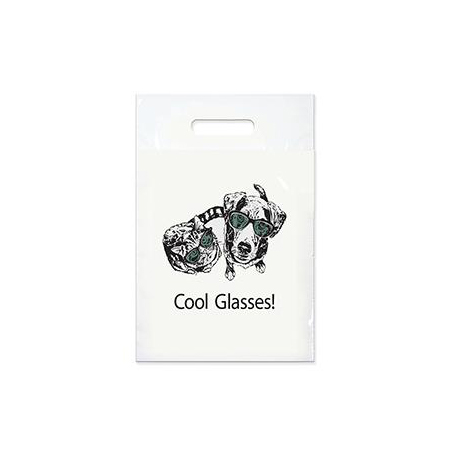 Cool Glasses (100 plastic bags)