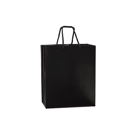 Medium Paper Bag 8W x 4D x 10H (100/box)