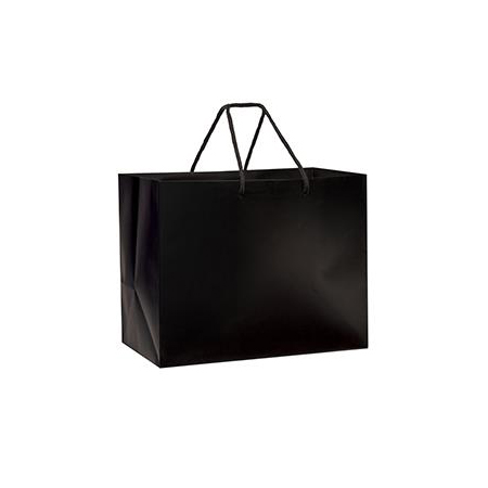Large Paper Bag 10W x 6 D x 8H (100/box)