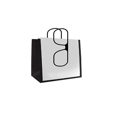 Designer Paper Bags - Large 10W x 6D x 8H (100/box)