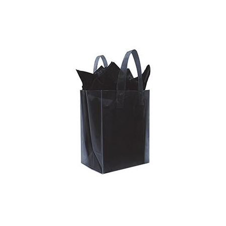 Frosted Bags - Large 8W x 4D x 10D (100/box)
